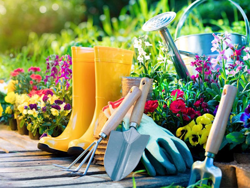 شرکت طراحی فضای سبز و مهمترین سرویس های قابل ارائه